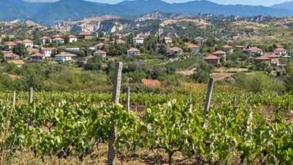 Село Лозеница, област Благоевград, България - RILA.WS