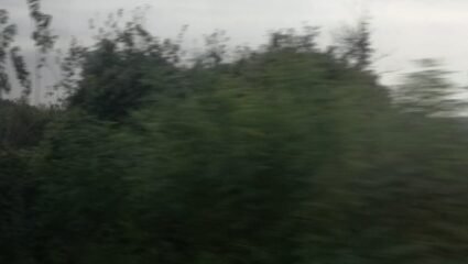 с. Радомирци - Радомирци, Плевен