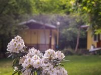 Бунгала Камена - село Камена, Община Петрич