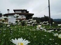 Къща за гости Котуци - село Буйновци, Община Елена