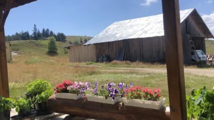 Вила под наем Ловна среща - село Златарица, Община Белица