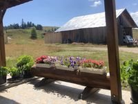 Вила под наем Ловна среща - село Златарица, Община Белица