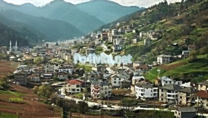 Чепинци (Област Смолян)