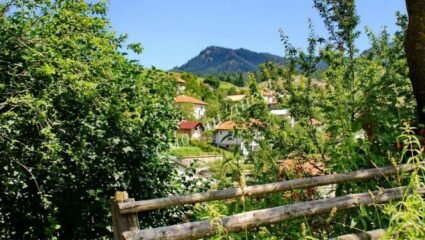 Статии с етикет: селата в община девин - Смолян днес! - Актуални ...