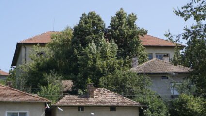 Раяновци - село без грешка..., път и магазин - Предавания