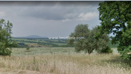 Продаваме земеделска земя = 6,199 декара - с. Ново Паничарево ...