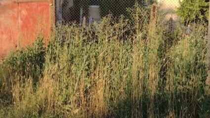 Ниа Пропърти Груп предлага къща в с.Светлина