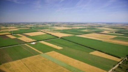 Купувам ЗЕМЕДЕЛСКА ЗЕМЯ всички землища в Община Руен