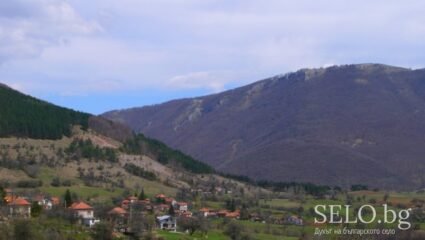 село Дружево Област София - област, Община Своге | Selo.BG