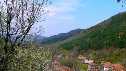 село Долна Бела речка Област Монтана, Община Вършец | Selo.BG