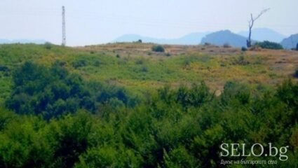 село Горово Област Бургас, Община Сунгурларе | Selo.BG