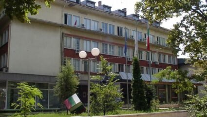 Община Долна Митрополия обявява търг за отдаване под наем на част ...