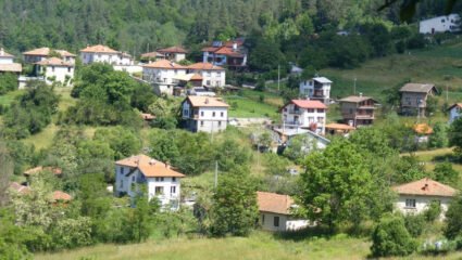 Meadows in the Mountains: In search of the perfect atmosphere - Life