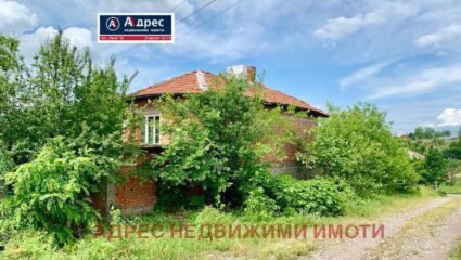 Brutal nehmen Manifest село венец Shampoo Kritiker Insel