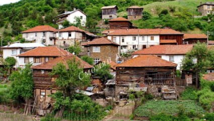 Коментар от Владислав Монтаное | Село Чуруково | Опознай.bg