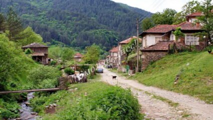 Коментар от Владислав Монтаное | Село Чуруково | Опознай.bg