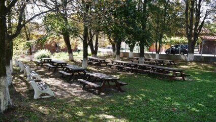 Парк - Старо село | Опознай.bg