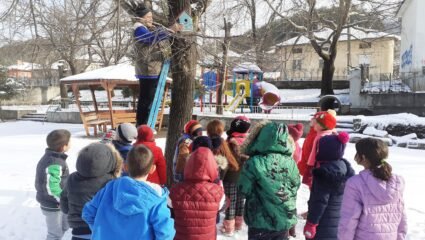 Община Крумовград - Зрънце любов за птиците от деца и ученици в ...