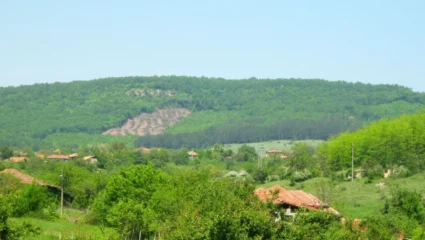 Село Родина,община Златарица,област Велико Търново - bTV Новините
