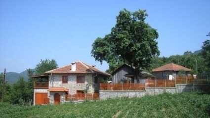 Къща за гости Билянска - село Горна Арда, Община Смолян