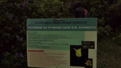 Nahodishte Na Urumovo Lale-Mestnost Lalikoto