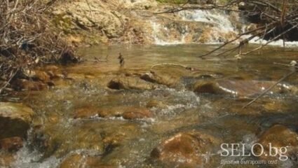 село Букаците Област Смолян, Община Смолян | Selo.BG