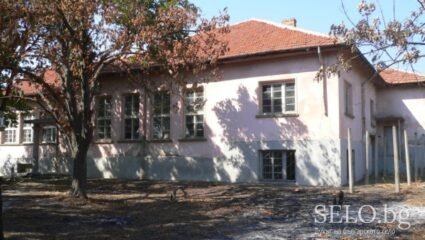 Brutal nehmen Manifest село венец Shampoo Kritiker Insel