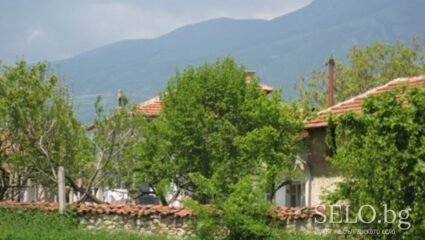 село Васил Левски Област Силистра, Община Алфатар | Selo.BG