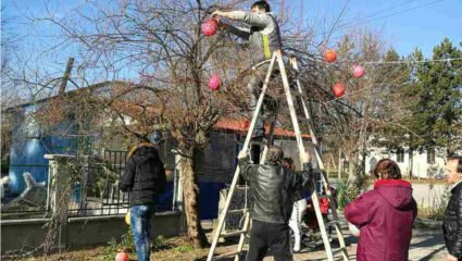 Търговищкото село Дългач с най-оригинална украса - Търговище