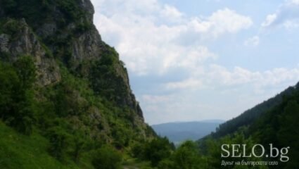 село Зелениград Област Перник, Община Трън | Selo.BG