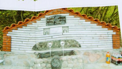 Жива вода тече край село Янково - Шумен