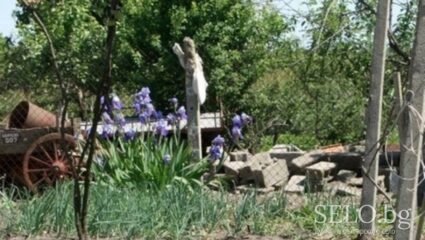 село Калчево Област Ямбол, Община Тунджа | Selo.BG