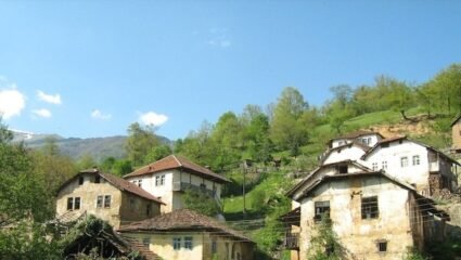 Ето кое е най-малкото село в област Монтана