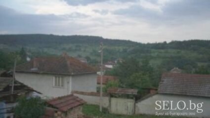 село Бряговица Област Велико Търново, Община Стражица | Selo.BG