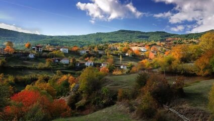 с. Планинско