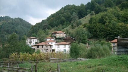 с. Черешовска река