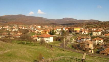 с. Вълче поле