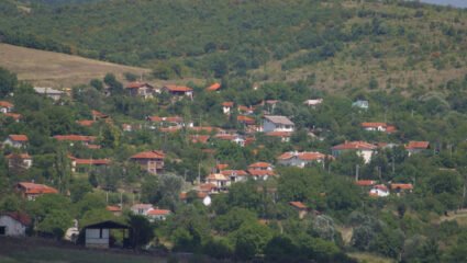 с. Борилово