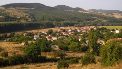 с. Люляково