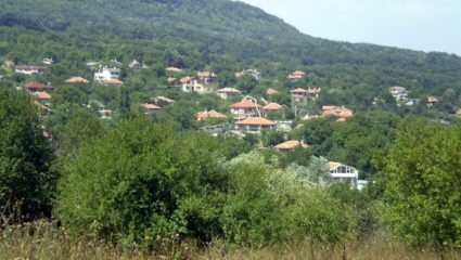 село Долище