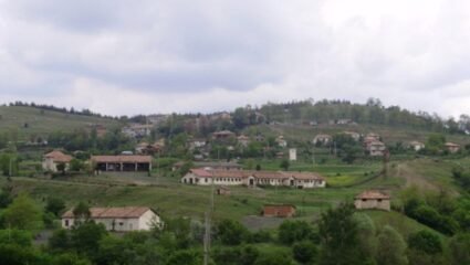 с. Боровица