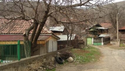 с. Долни Бошняк