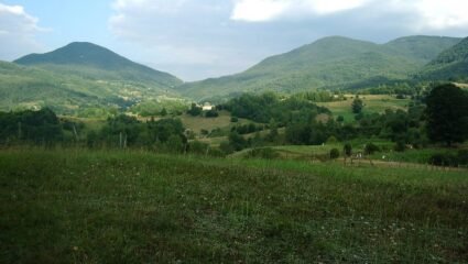 с. Алиговска