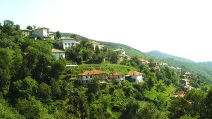 с. Върли дол