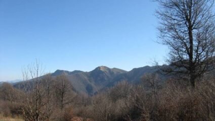 с. Папратлива