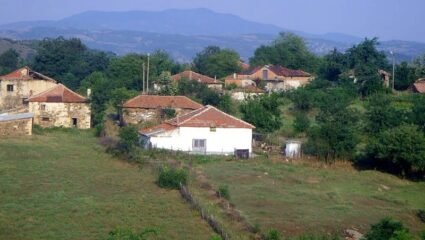 с. Душинково