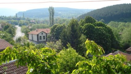 с. Старо село