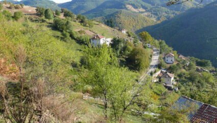 с. Стърница