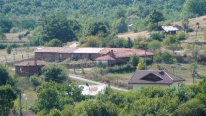 с. Ездимирци