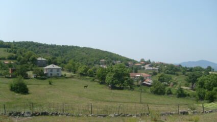 с. Голямо каменяне